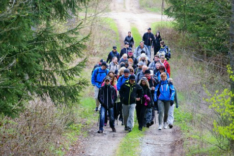 2017_04_03-ipa-orli (4)