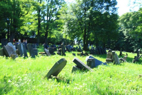 Šafov - židovský hřbitov 1