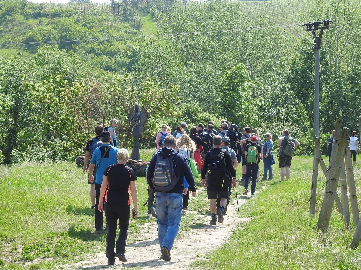 palava 2019 (8)