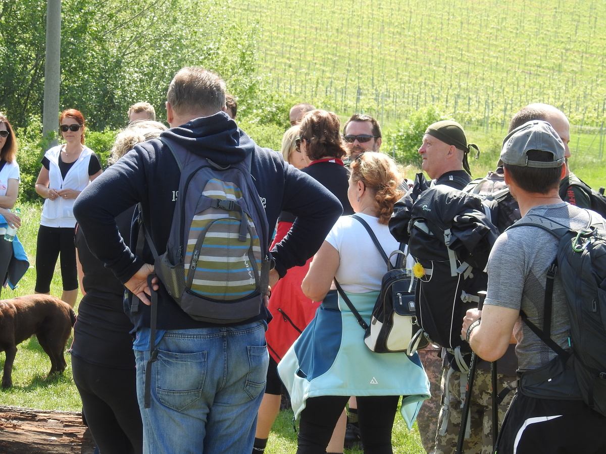 palava 2019 (10)