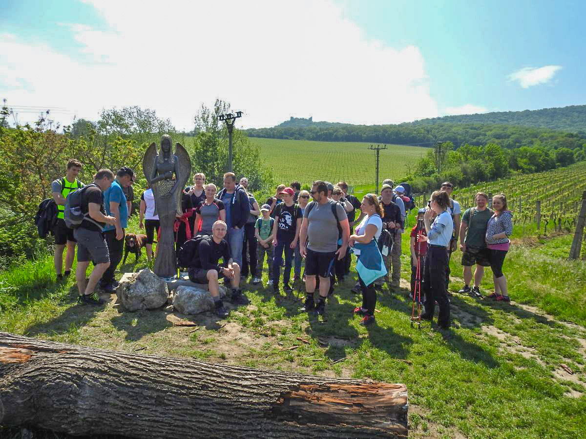 palava 2019 (11)