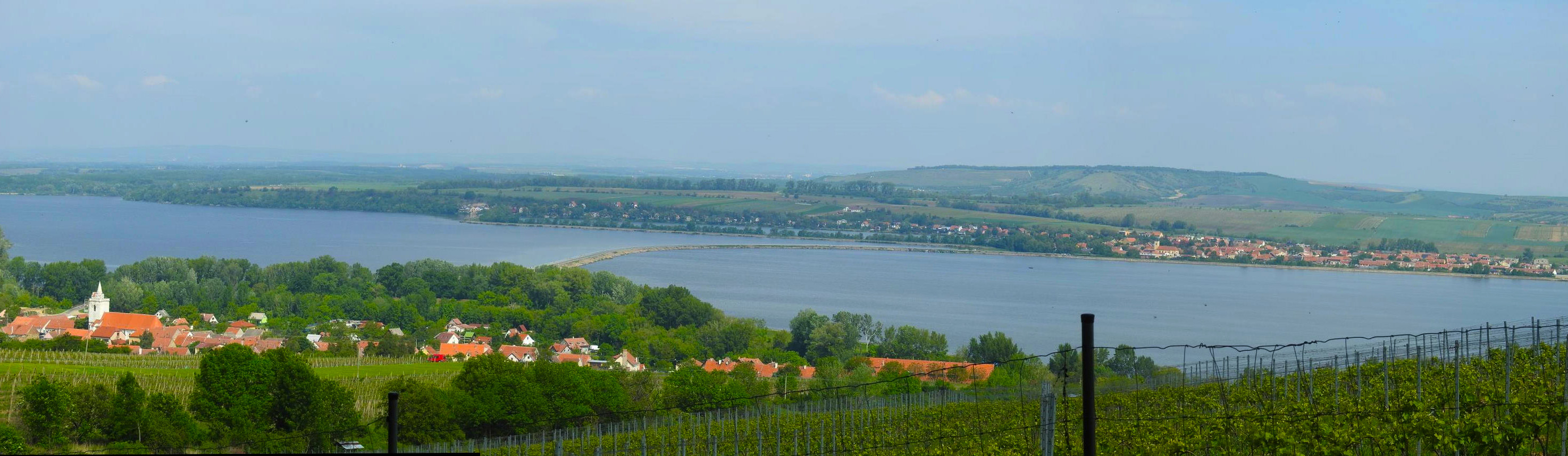 palava 2019 (13)