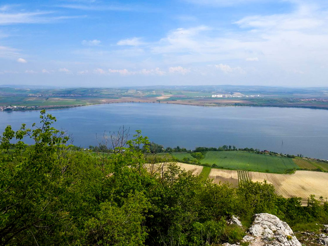 palava 2019 (18)