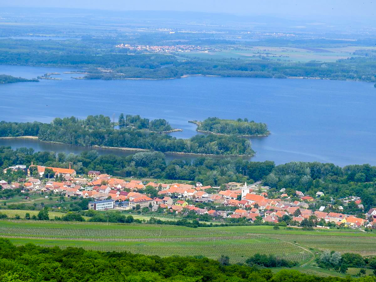palava 2019 (21)