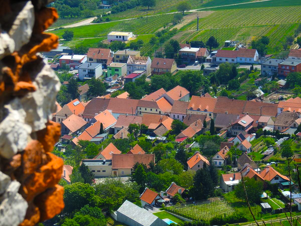 palava 2019 (29)