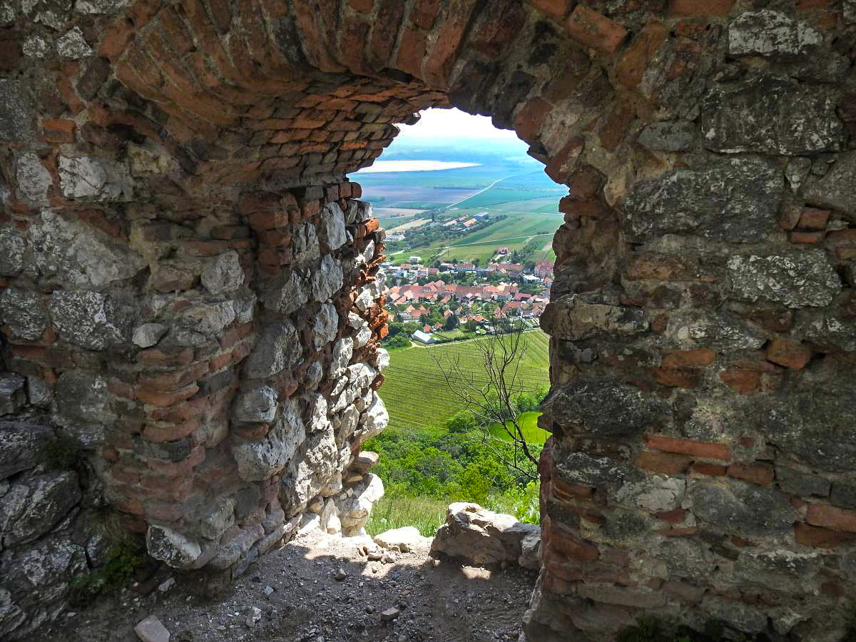 palava 2019 (30)