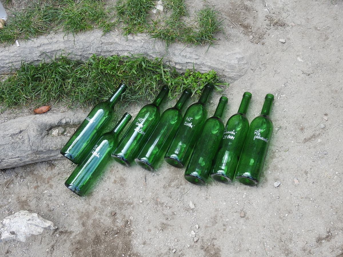 palava 2019 (34)