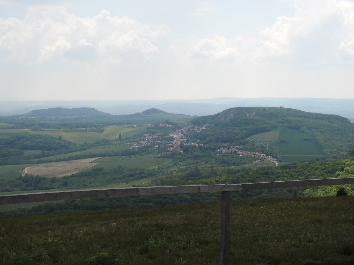 palava 2019 (38)