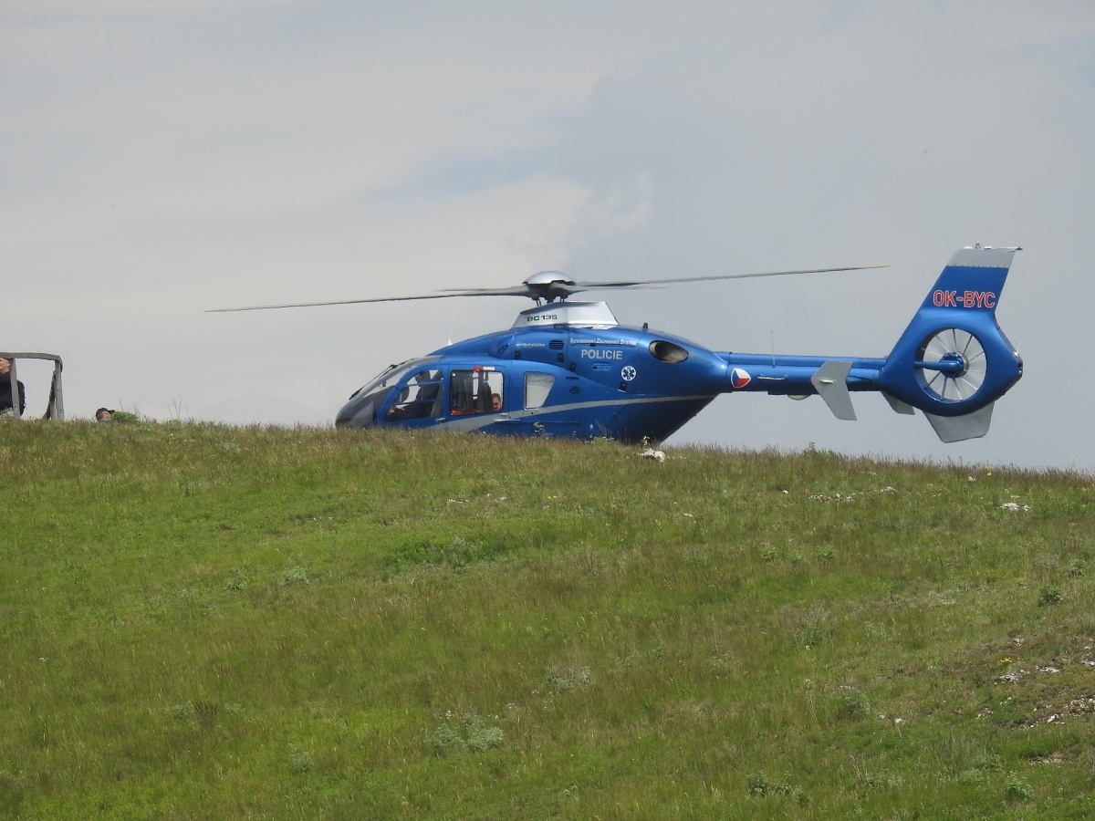 palava 2019 (42)
