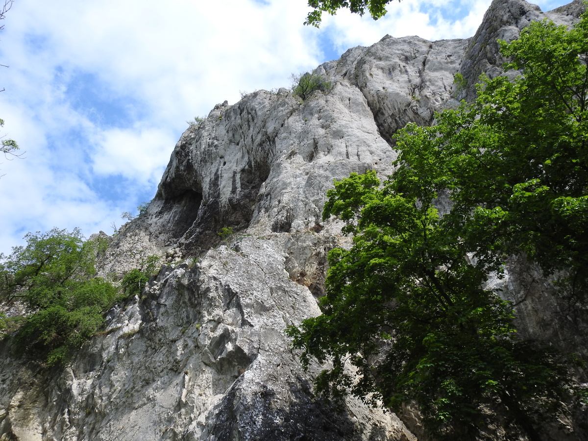 palava 2019 (47)