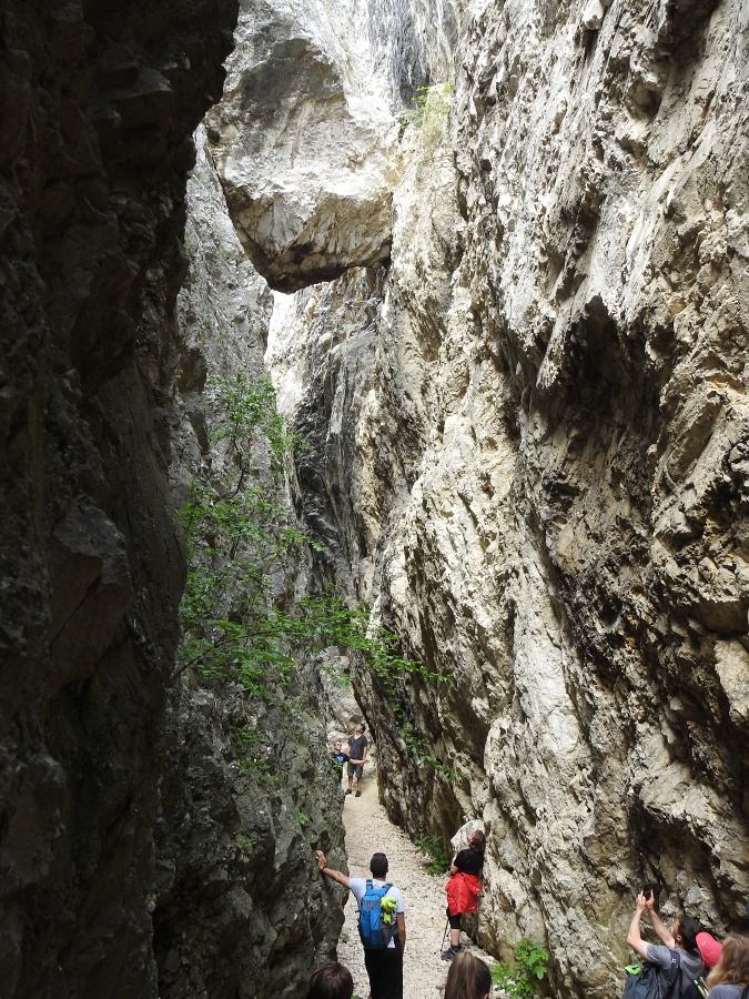 palava 2019 (48)