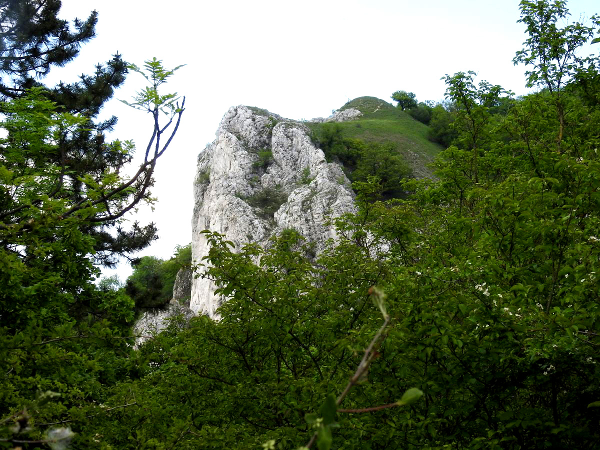 palava 2019 (53)