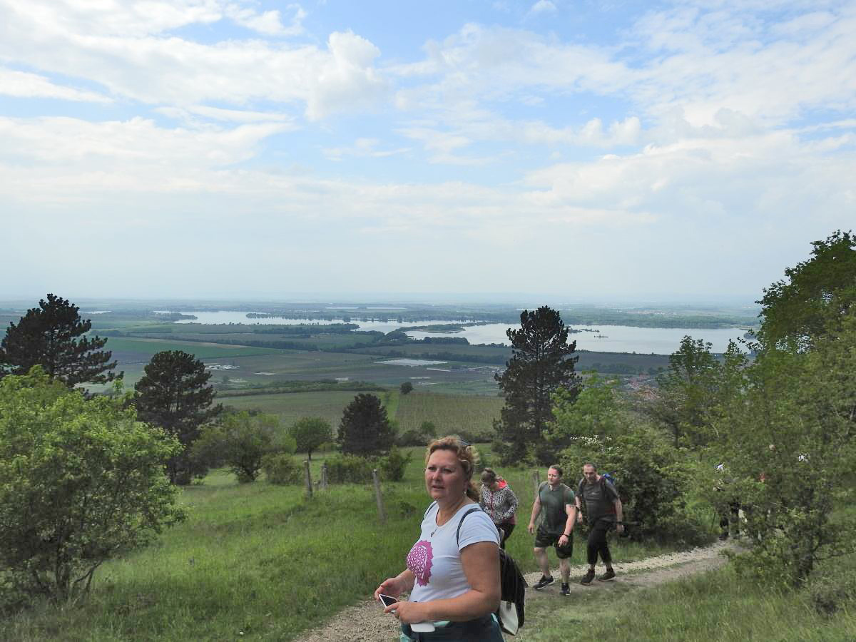 palava 2019 (54)