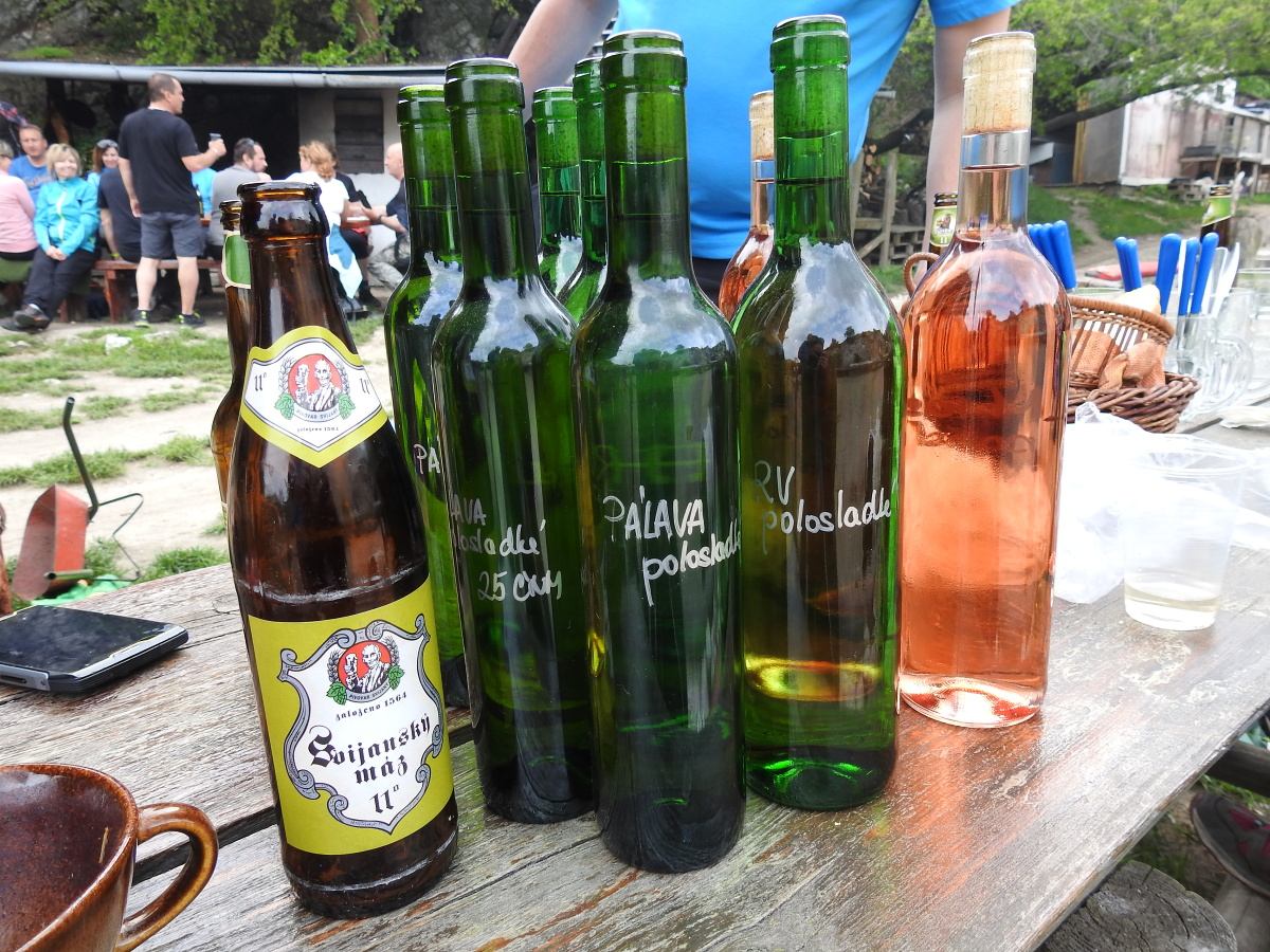 palava 2019 (57)