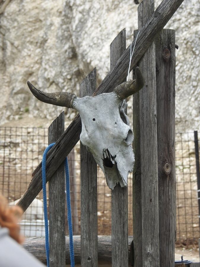 palava 2019 (65)