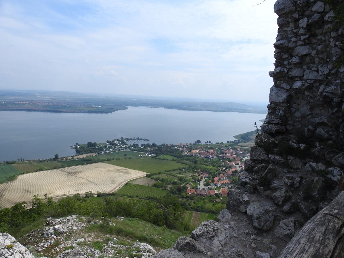 palava 2019 (17)