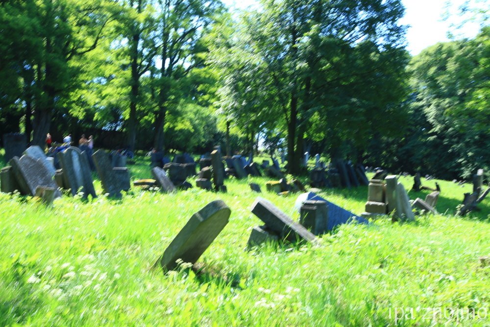 Šafov - židovský hřbitov 1