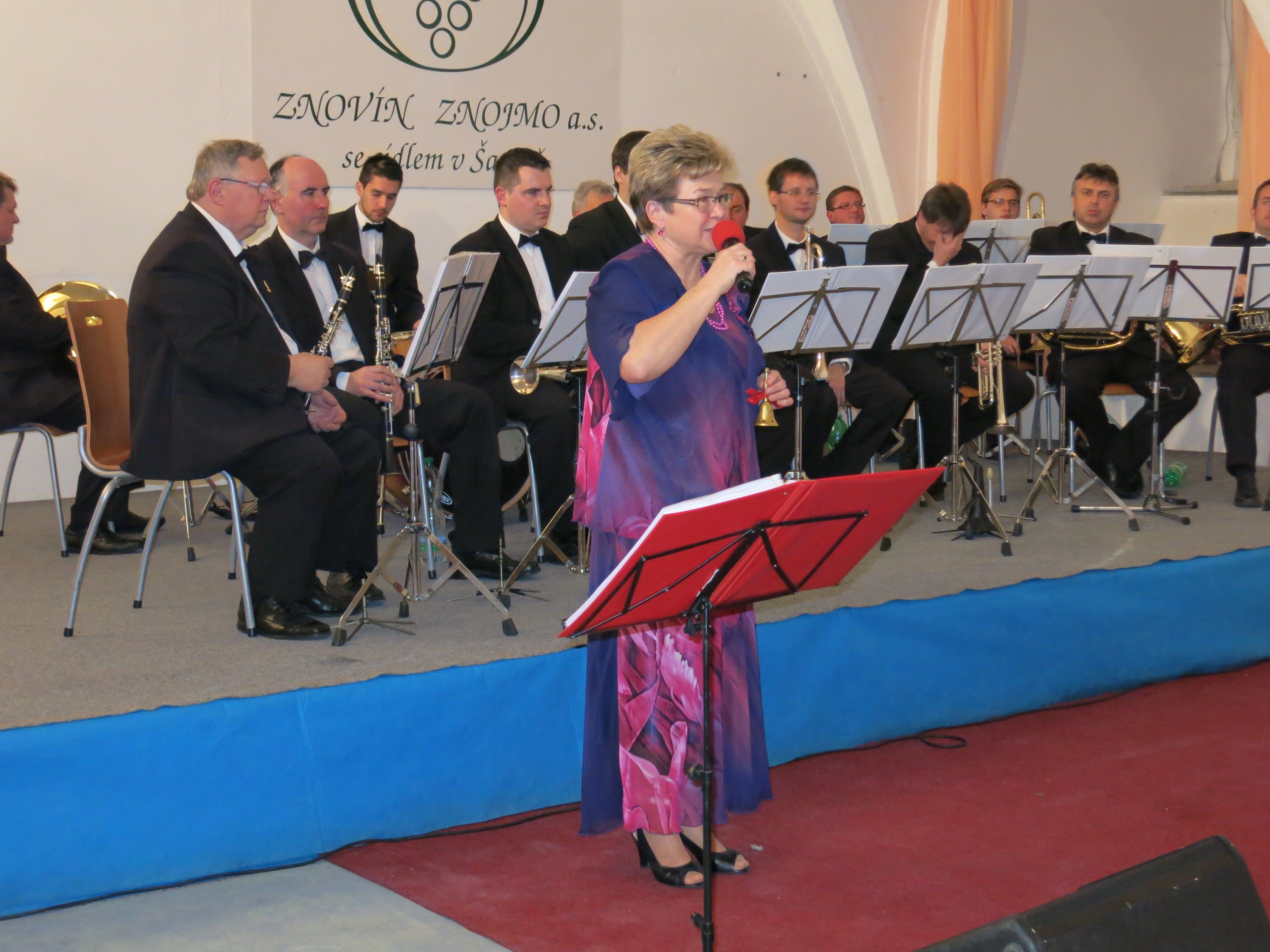 mistrinanka 2012 (10)