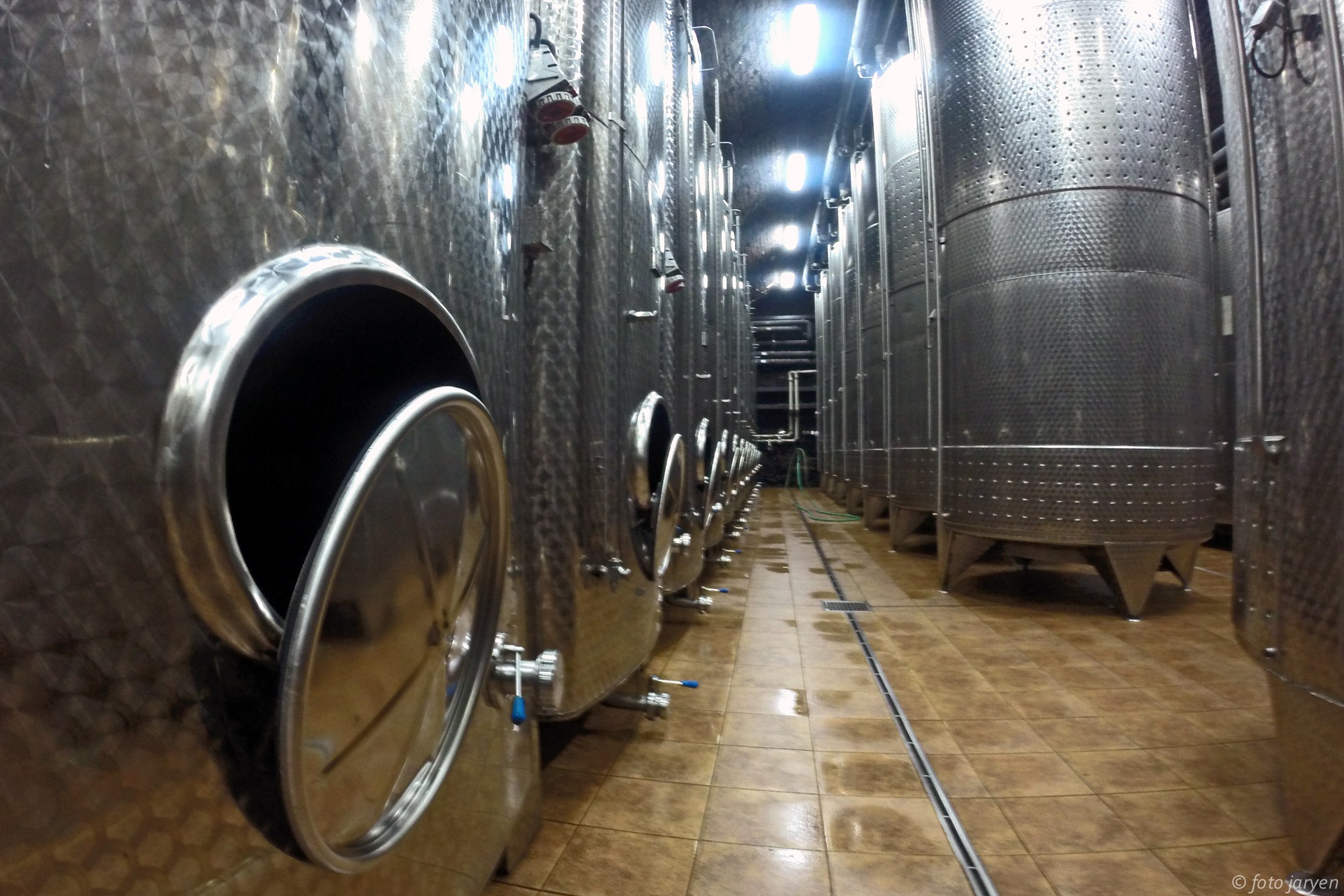 ipa-lapikus-2015_02
