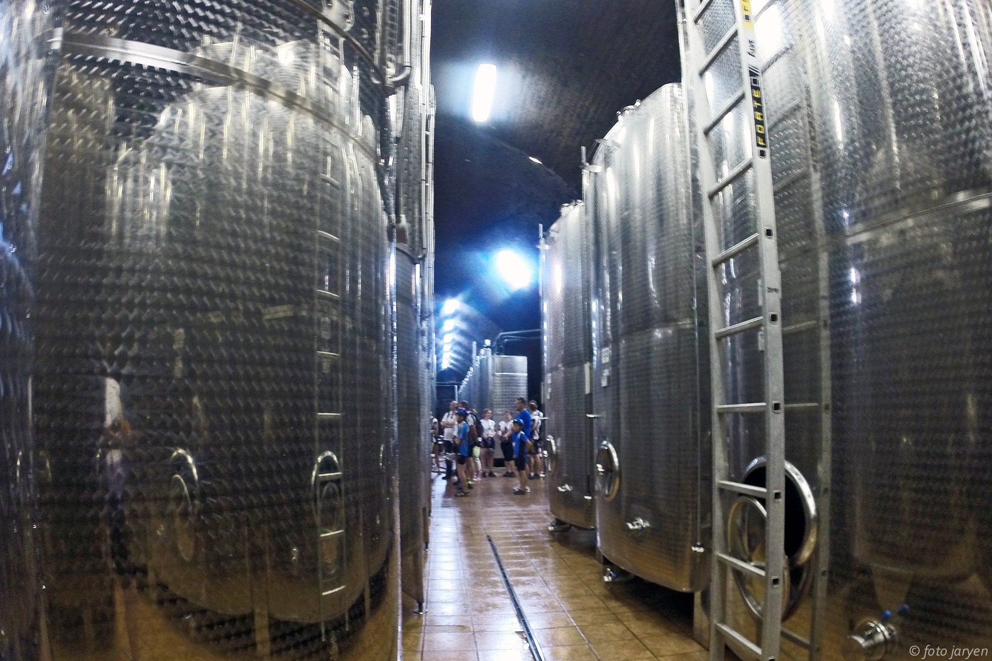 ipa-lapikus-2015_03