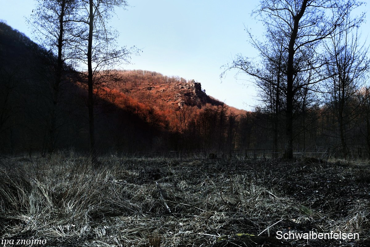 1_schwalbenfels_01